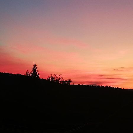 Ferienwohungen Im Kuchersbach Хорнберг Экстерьер фото