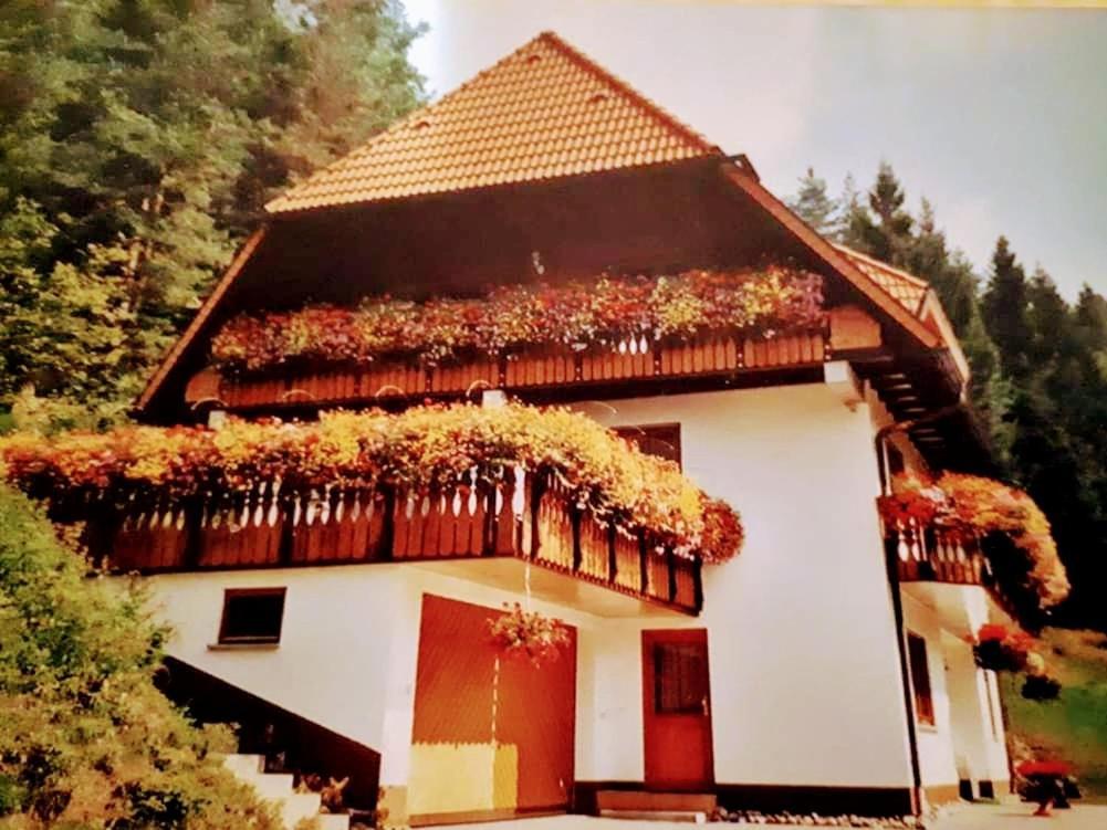 Ferienwohungen Im Kuchersbach Хорнберг Экстерьер фото