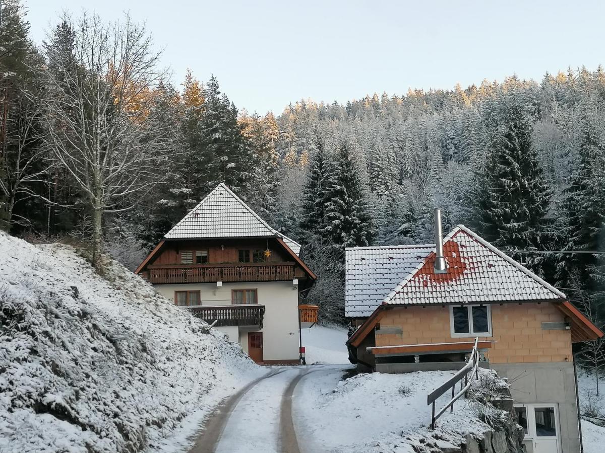 Ferienwohungen Im Kuchersbach Хорнберг Экстерьер фото