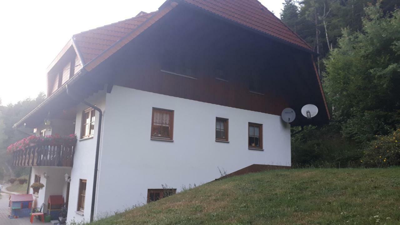 Ferienwohungen Im Kuchersbach Хорнберг Экстерьер фото